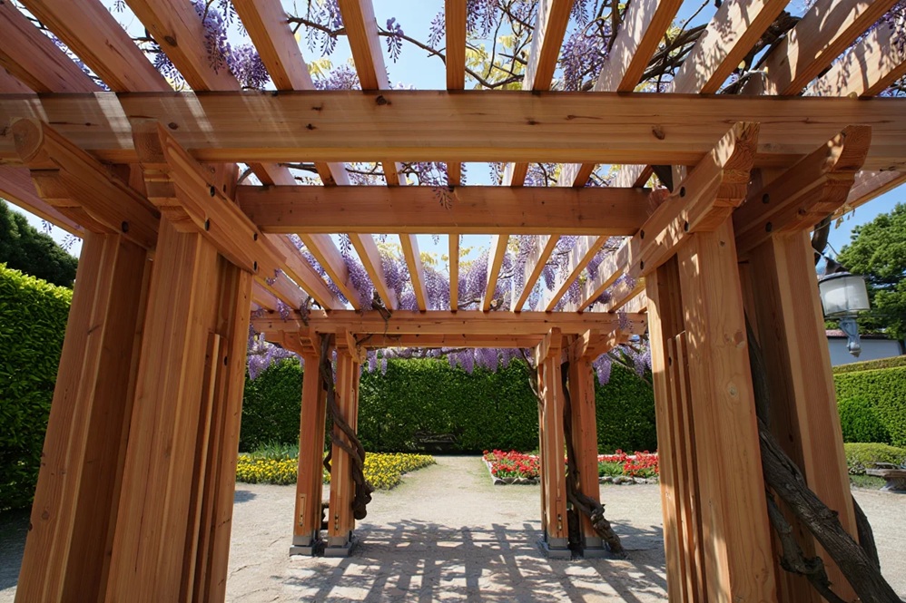 Installeur pergolas